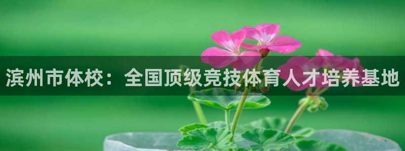 鲸鱼体育如何下载：滨州市体校：全国顶级竞技体育人才培养基地