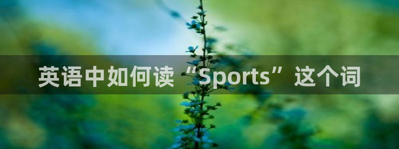 鲸鱼体育苹果手机可以下载吗：英语中如何读“Sports”这个词